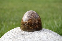 /album/fotogaleria-cennik/dsc-0262-jpg/